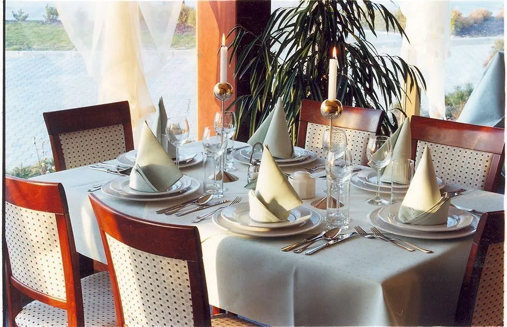 Hotel Great Polonia Krakow Airport - Ex Hotel Witek Модльничка 4*,  Польша